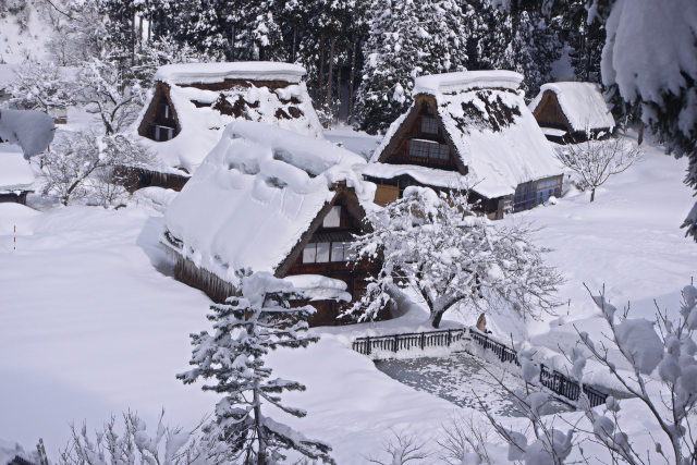 雪化粧の五箇山 菅沼集落