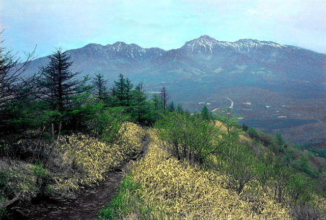 平沢山から見る八ヶ岳