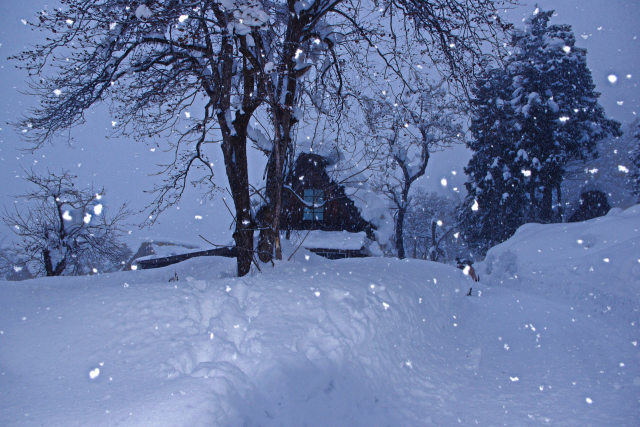 白川郷は雪の中