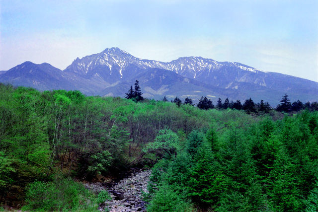 八ヶ岳～新緑の山麓から