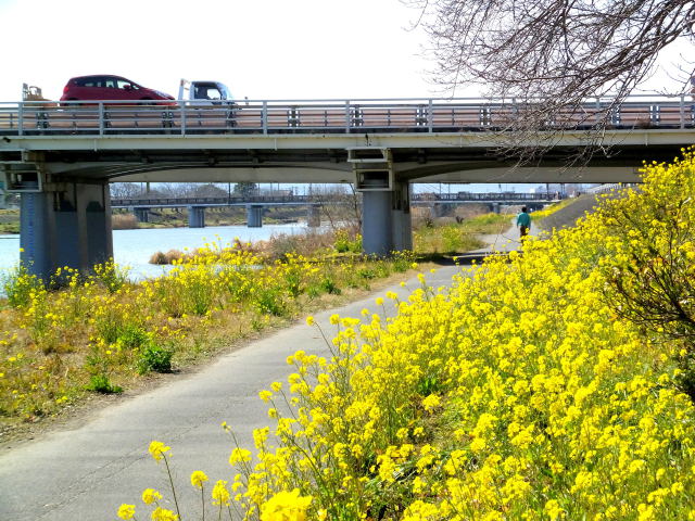 春の散歩道