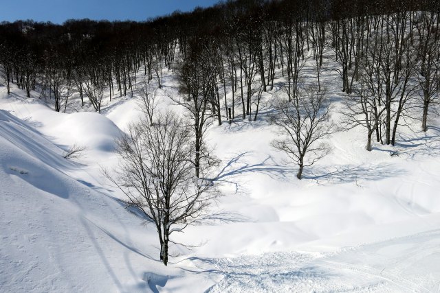 雪山春音