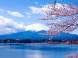 富士山と桜