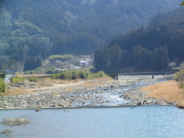 春の山国川