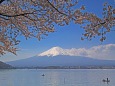 春の富士山