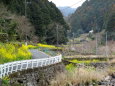 虚空山へ続く道