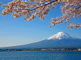 春の富士山