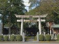 紀部神社(オニヒバ ) 