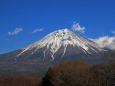 朝霧高原から見る富士山