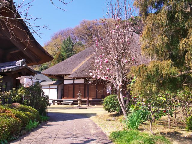 春の寺