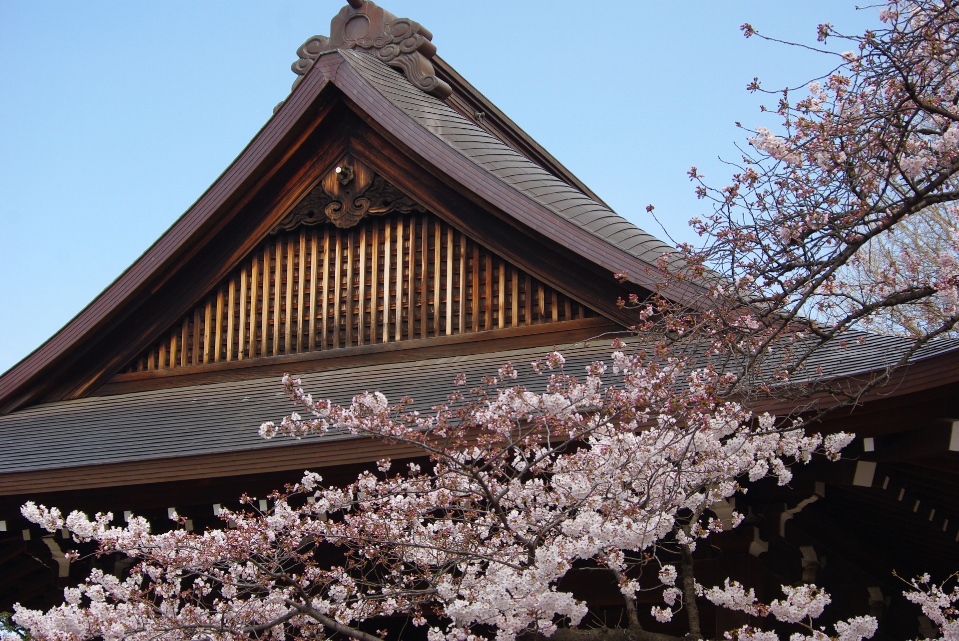 日本の風景 靖国神社 壁紙19x1285 壁紙館