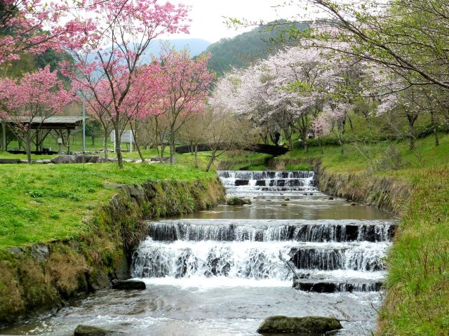 春の渓流公園