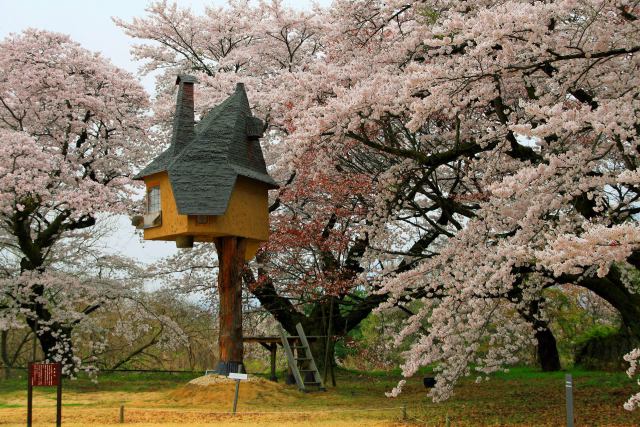 一本足の茶室