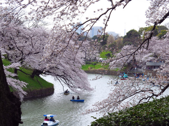 千鳥ヶ淵