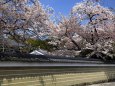 塀の外から建仁寺