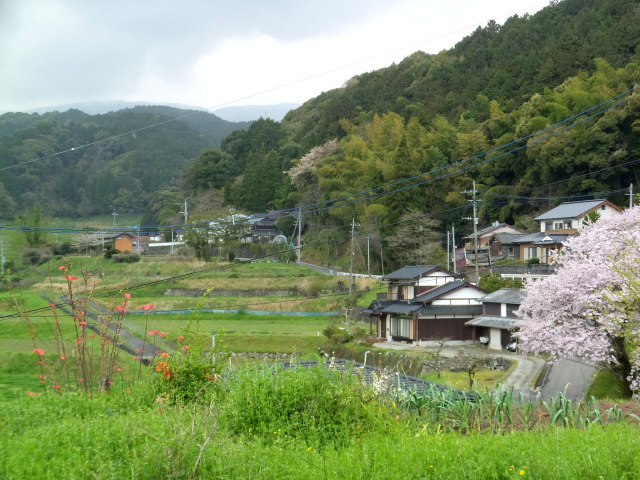 山間の春