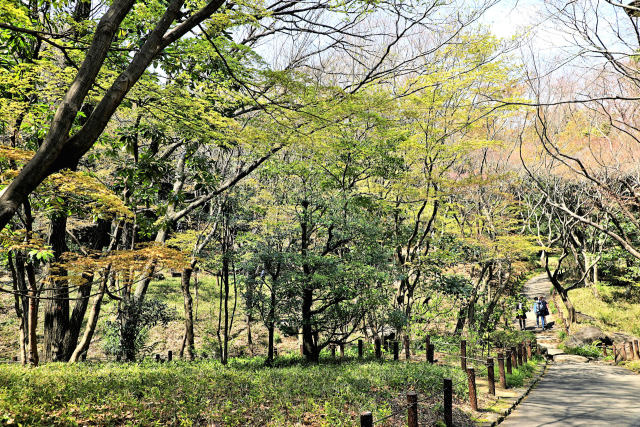 新緑の北の丸公園