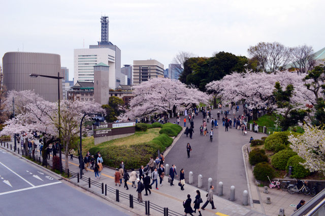 北の丸公園の前で