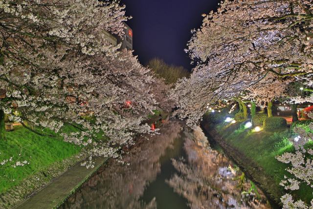 松川(富山)の夜は更けて