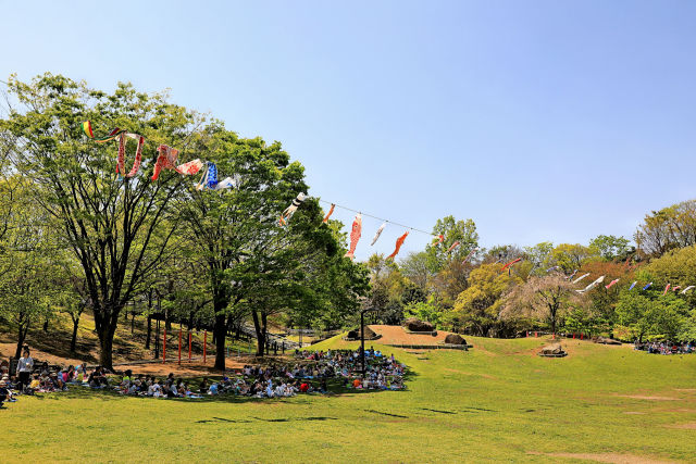 鯉のぼりの泳ぐ公園1