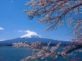 春の富士山