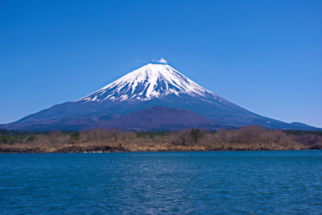 春の精進湖から 子抱き富士