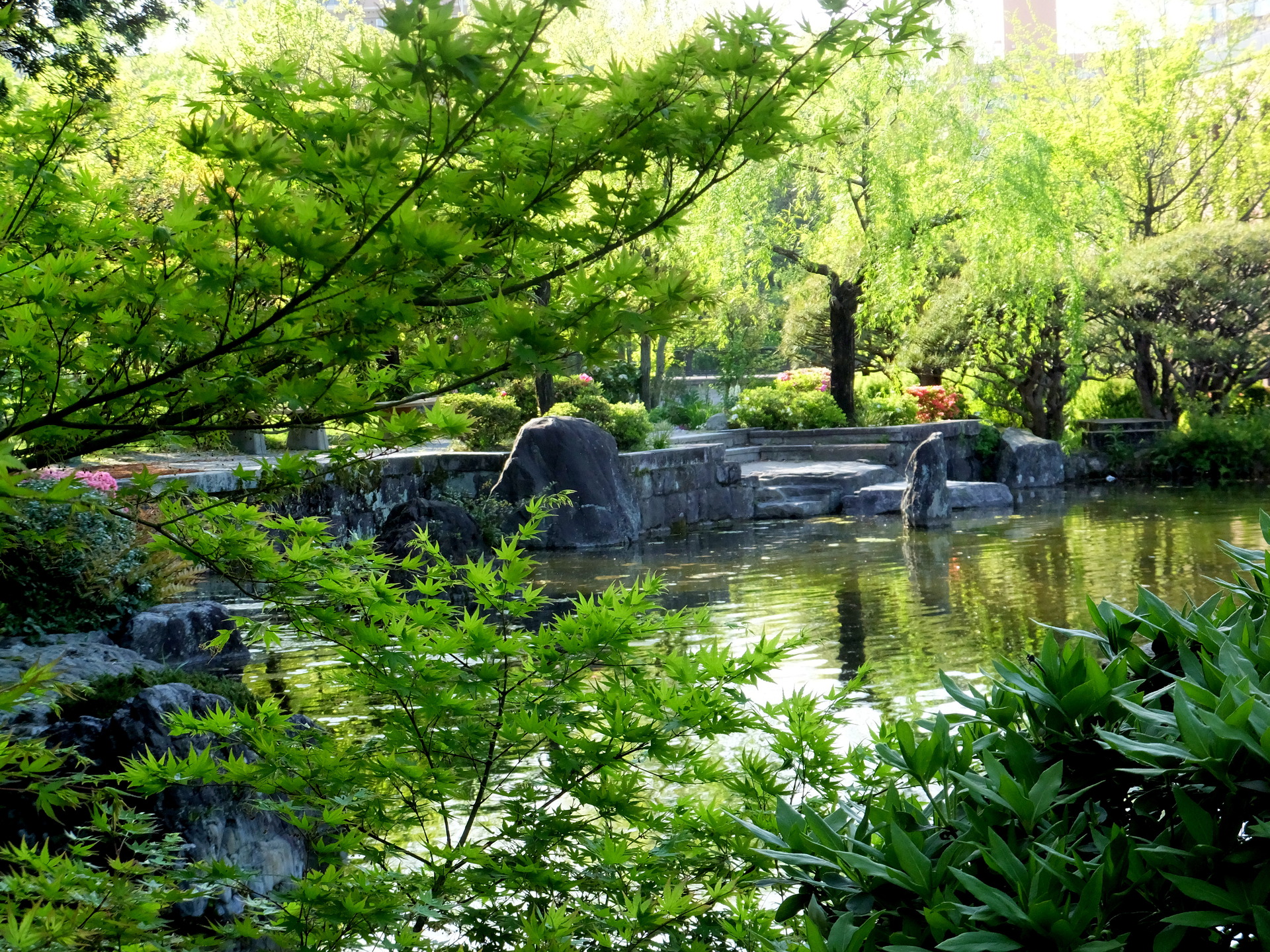 日本の風景 さわやかな緑の風景 壁紙19x1440 壁紙館