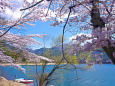 春の河口湖・湖畔の風景