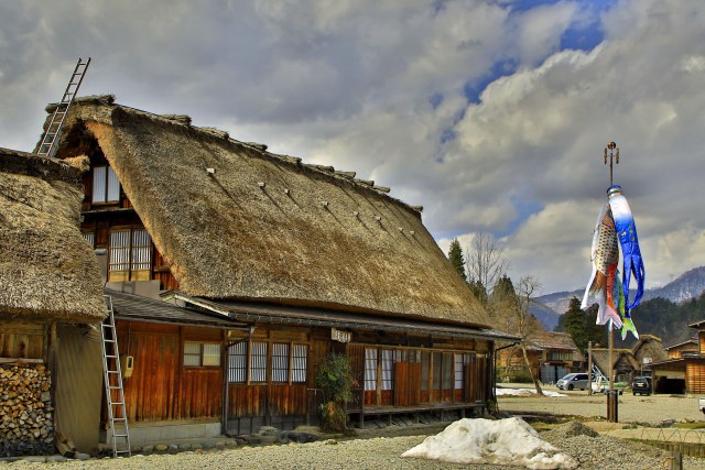 白川郷の鯉のぼり