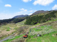 山村の春-棚田と梨園