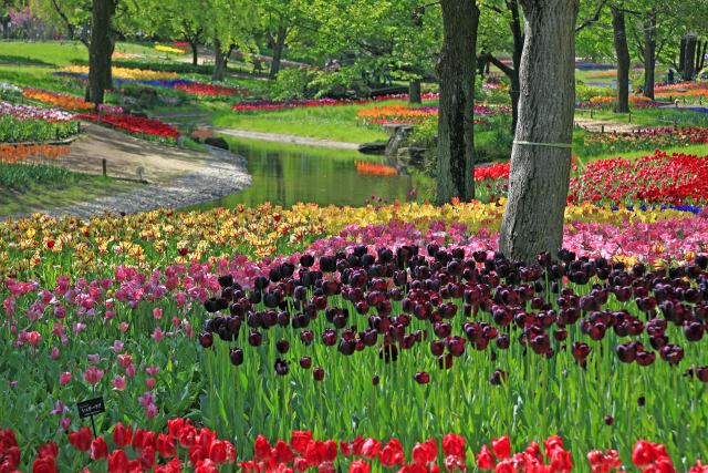 春の花園