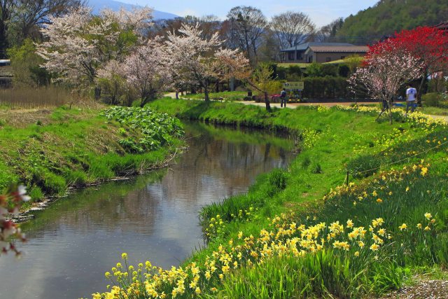 春の小川