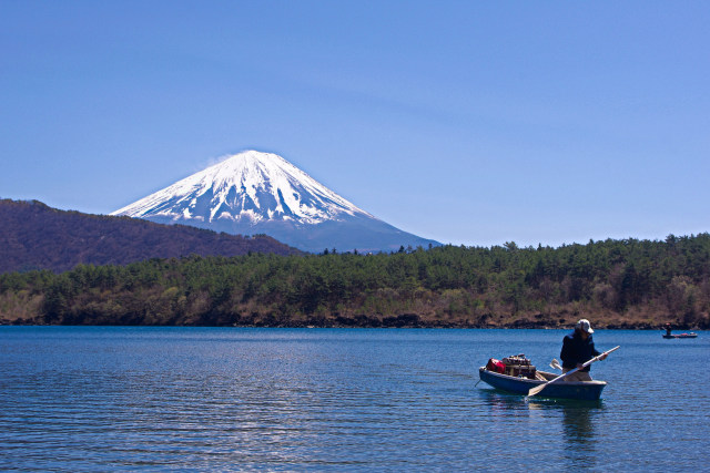 春の西湖から