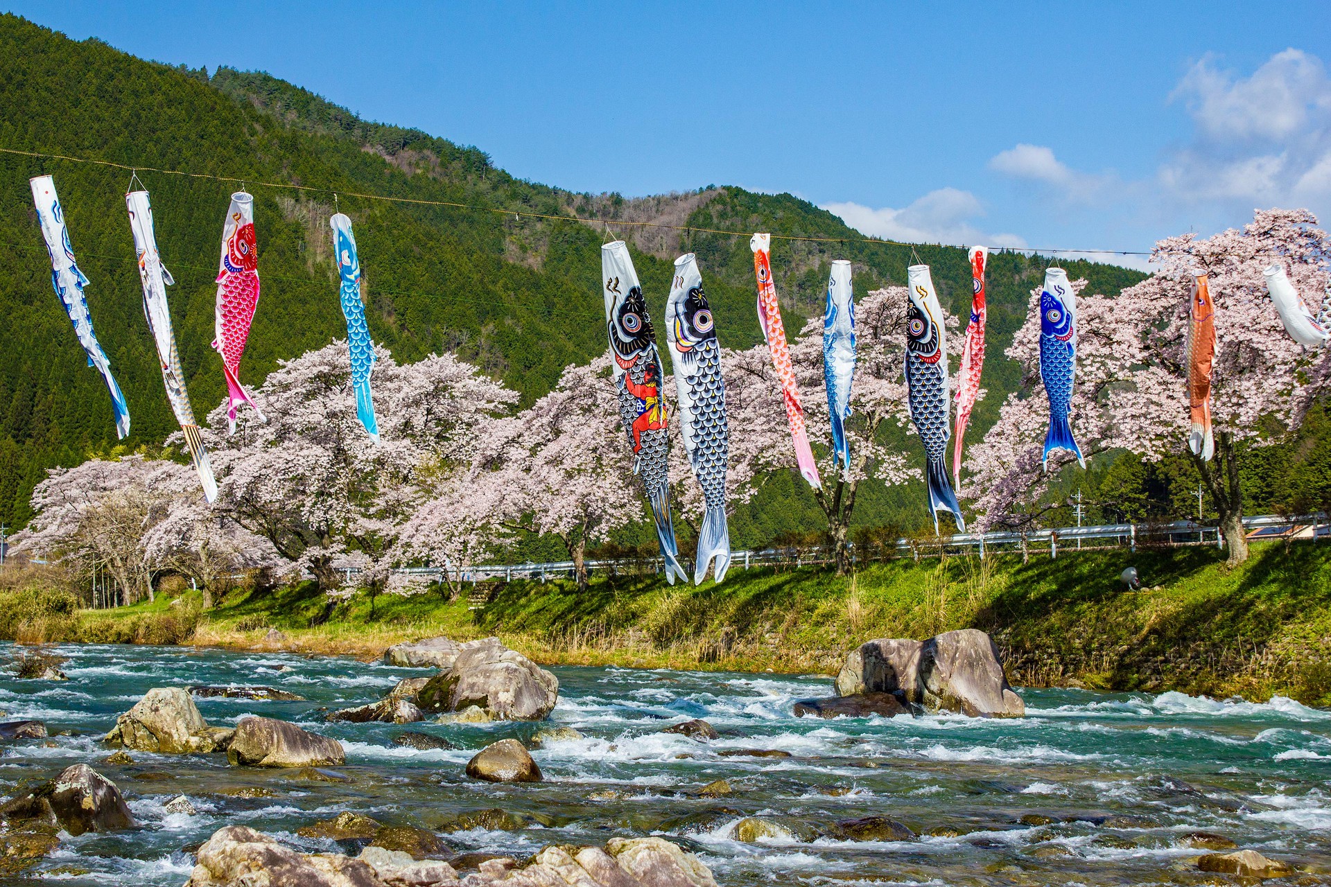 日本の風景 和良川の鯉のぼり 壁紙1920x1280 壁紙館