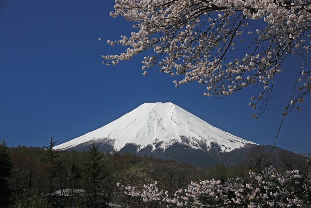 忍野の富士