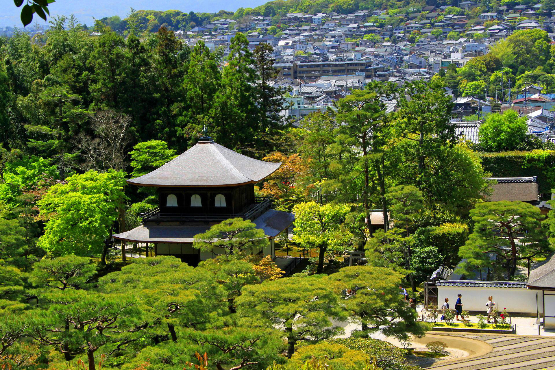 日本の風景 新緑の慈照寺 銀閣寺 壁紙19x1280 壁紙館