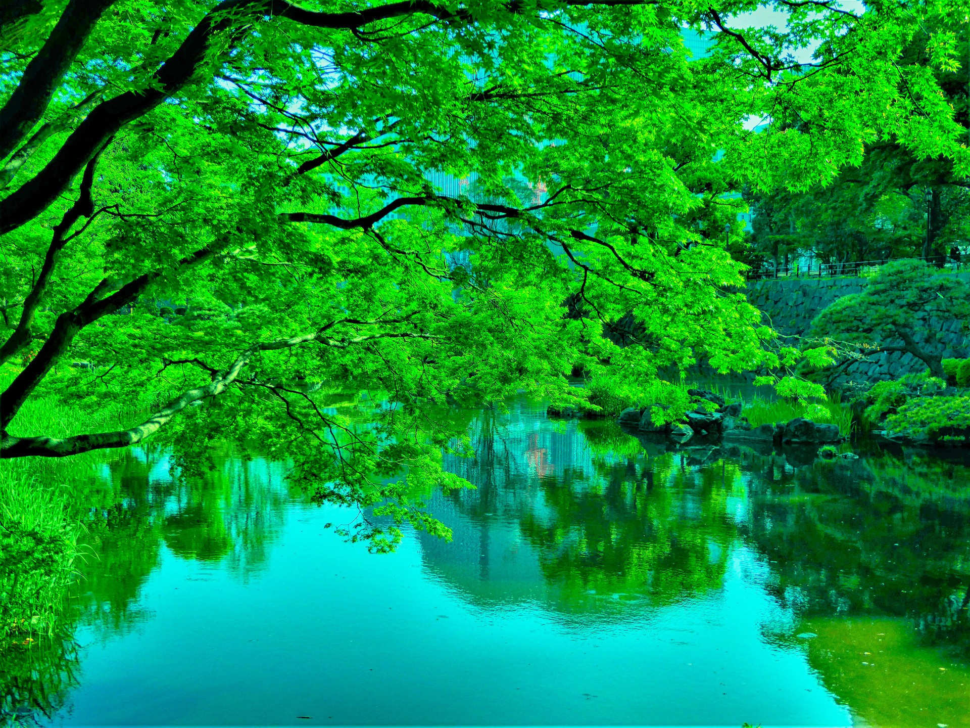 日本の風景 新緑の日比谷公園 壁紙19x1440 壁紙館