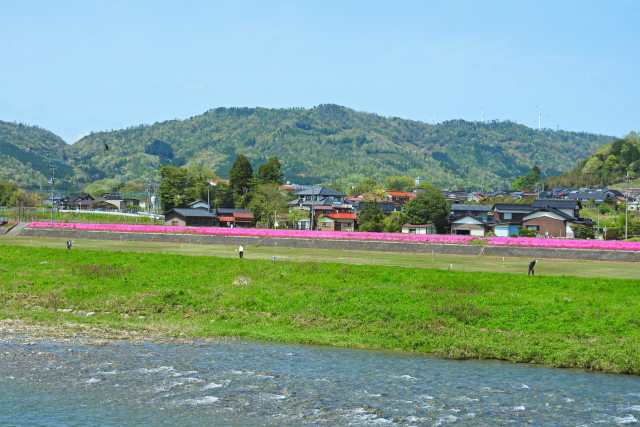 芝桜咲く河川敷のGG場