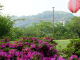 朝の西海橋公園で