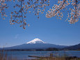 春の富士山