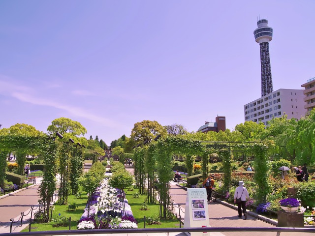 横浜 山下公園