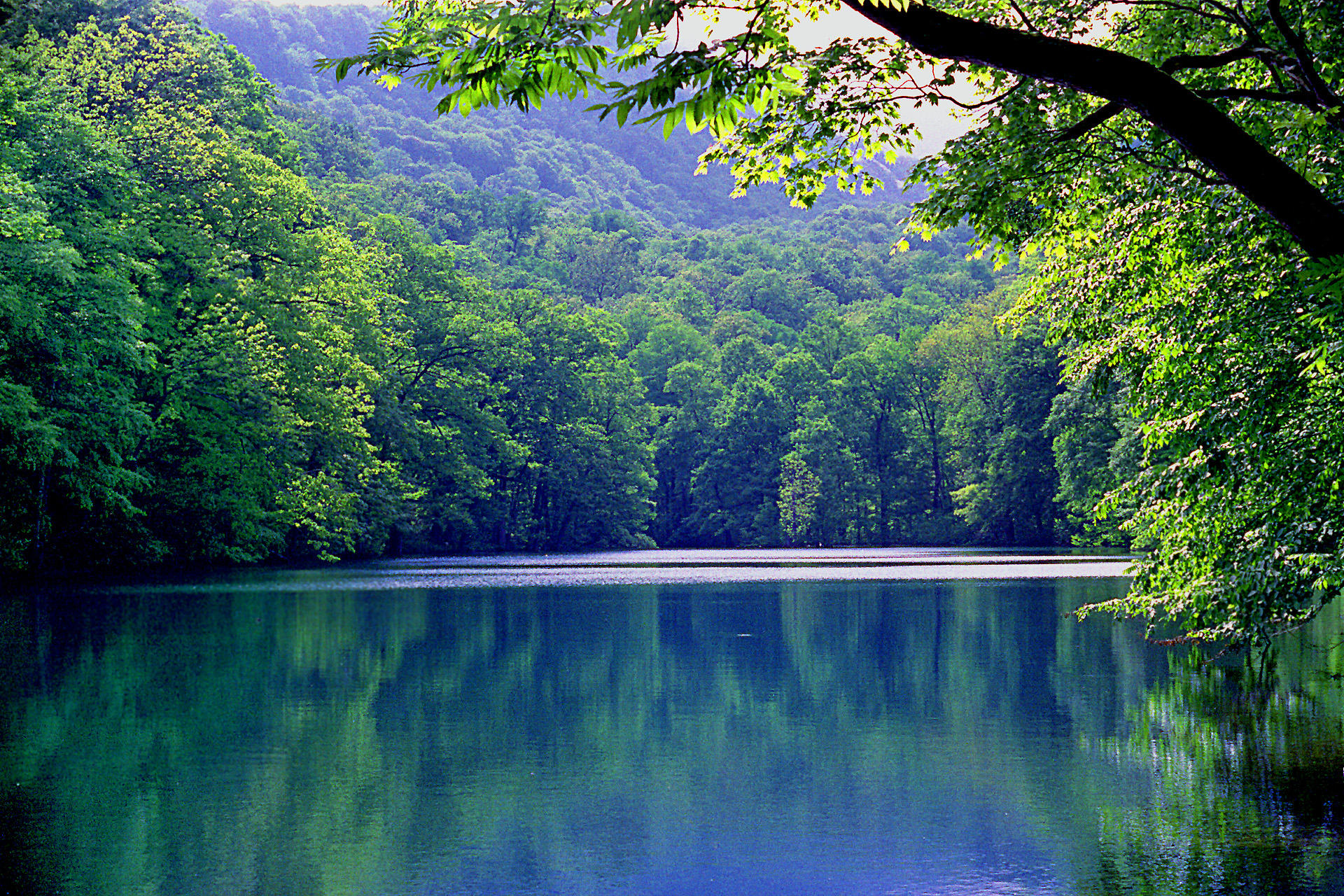 日本の風景 新緑に包まれた蔦沼 壁紙19x1280 壁紙館