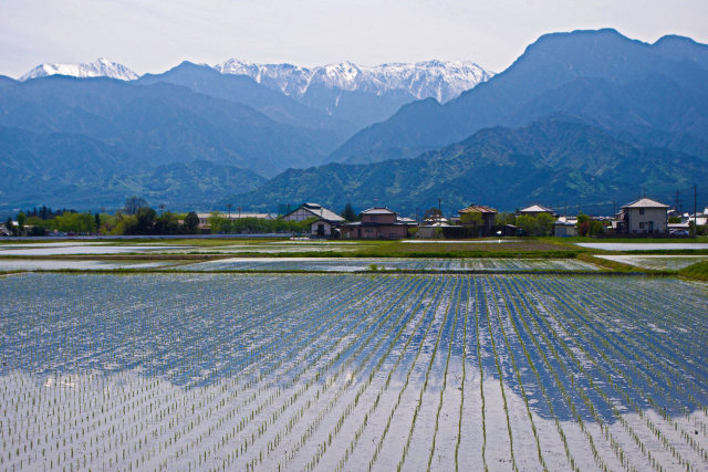 春の安曇野