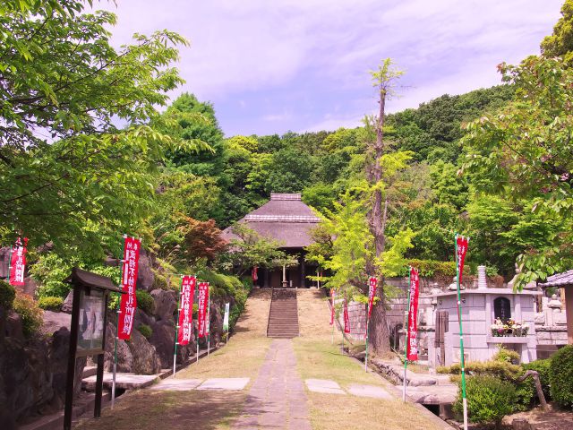 新緑の寺