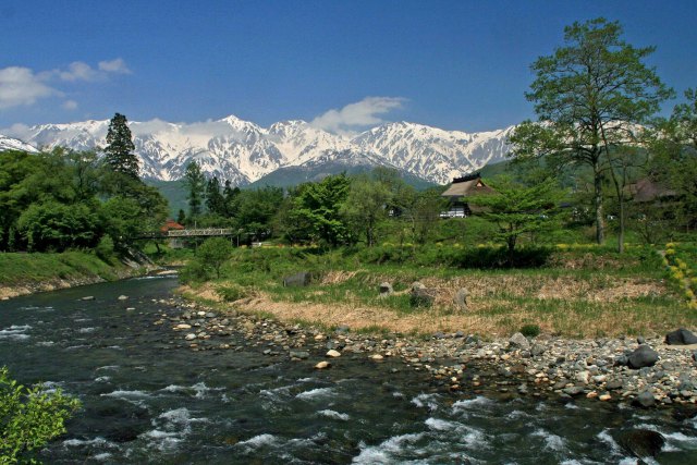 大出吊橋から白馬三山