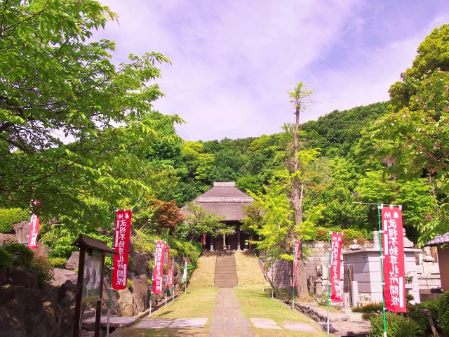 新緑の寺