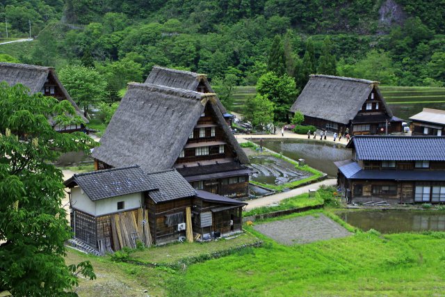 新緑の五箇山