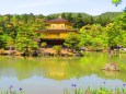 5月の金閣・鹿苑寺