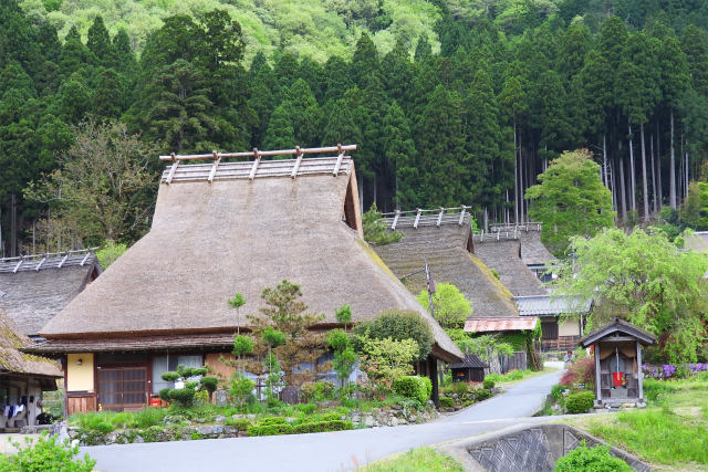 茅葺きの里-美山4