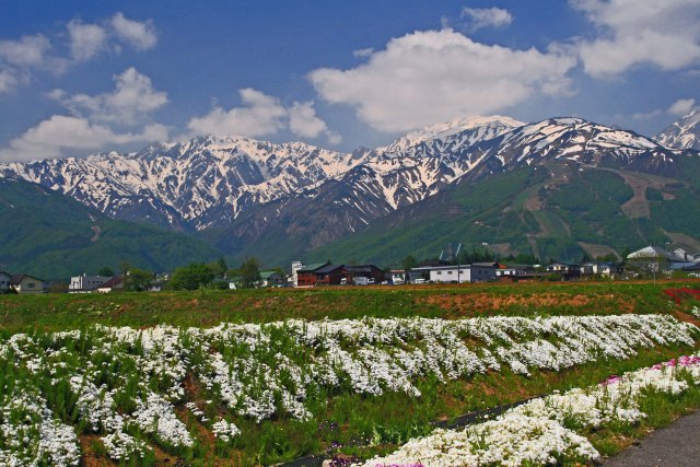 白馬連峰